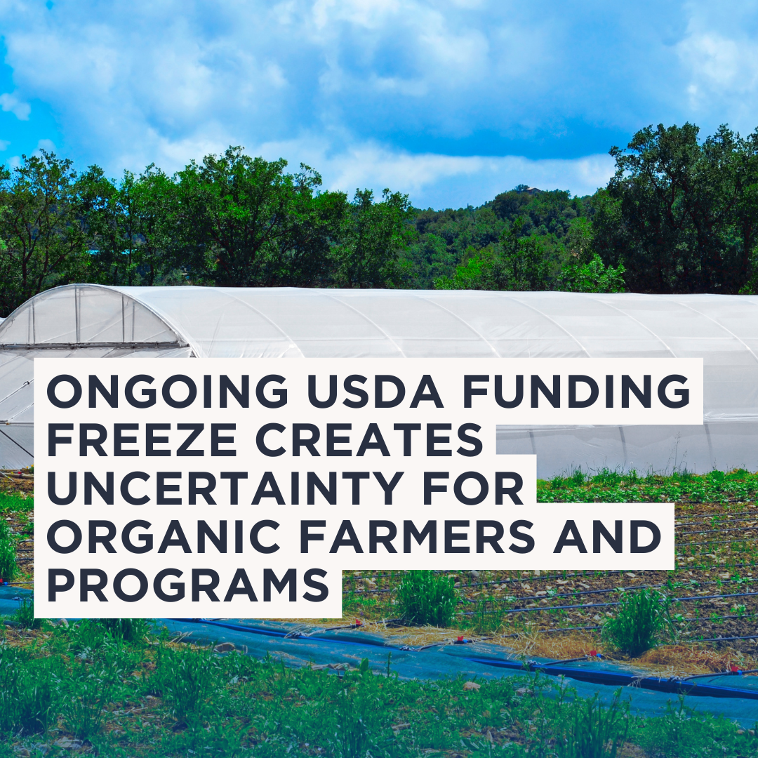 Ongoing USDA Funding Freeze Creates Uncertainty for Organic Farmers and Programs