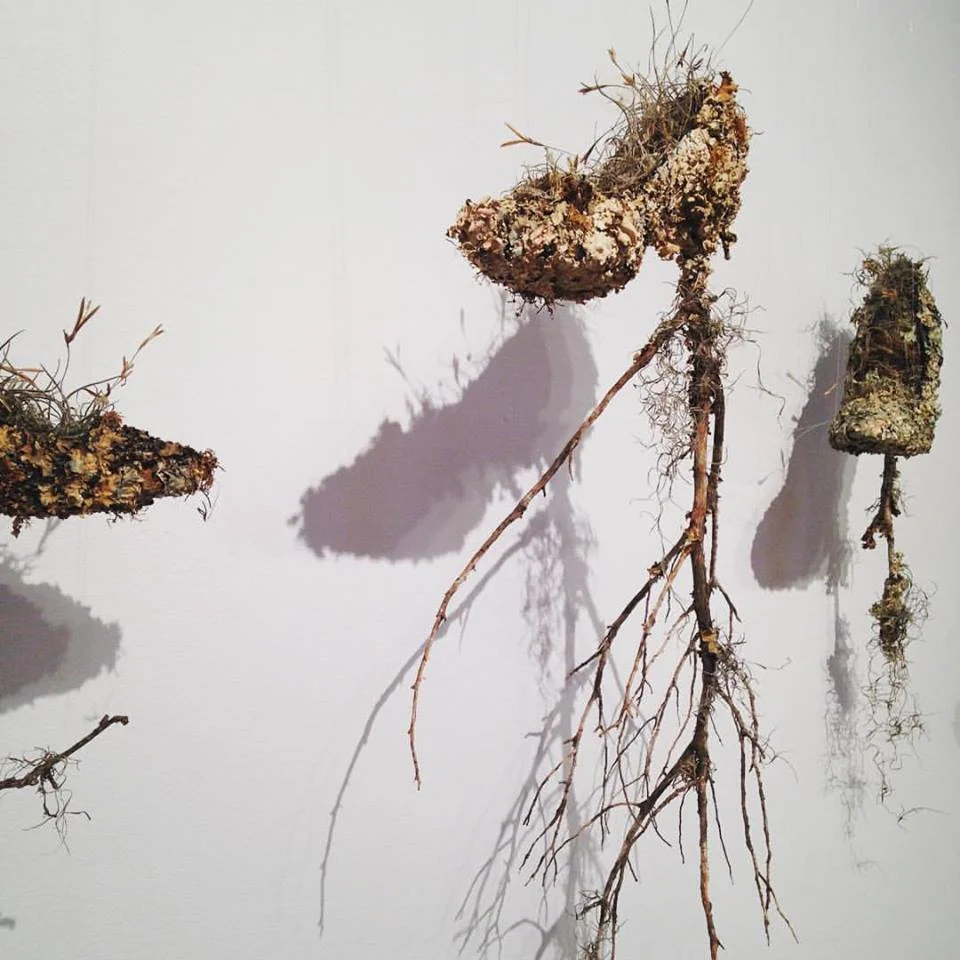 John Carroll Runnels, Daphne's Shoe (sculpture series), 2016