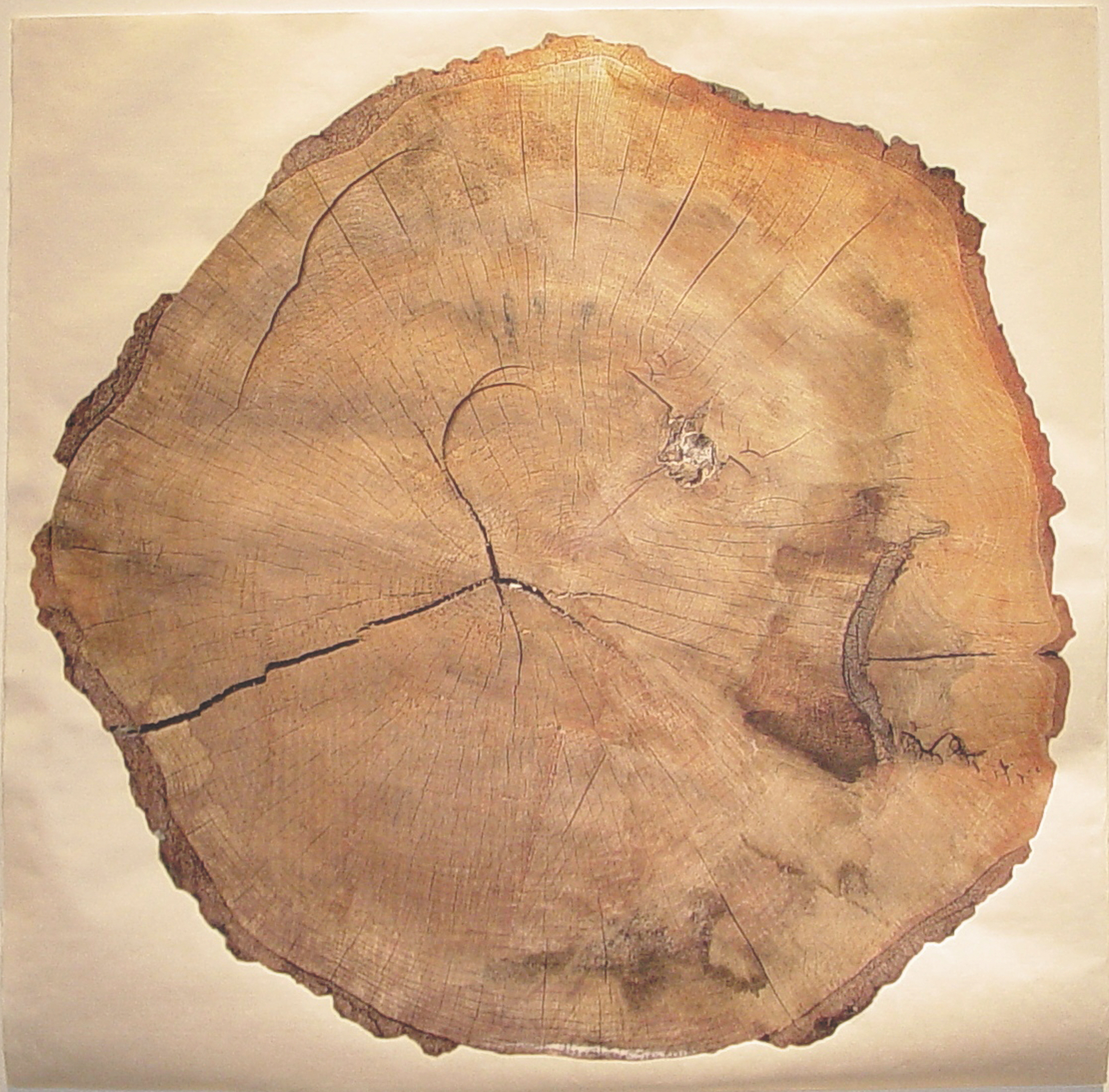 2. Slice copy.jpg