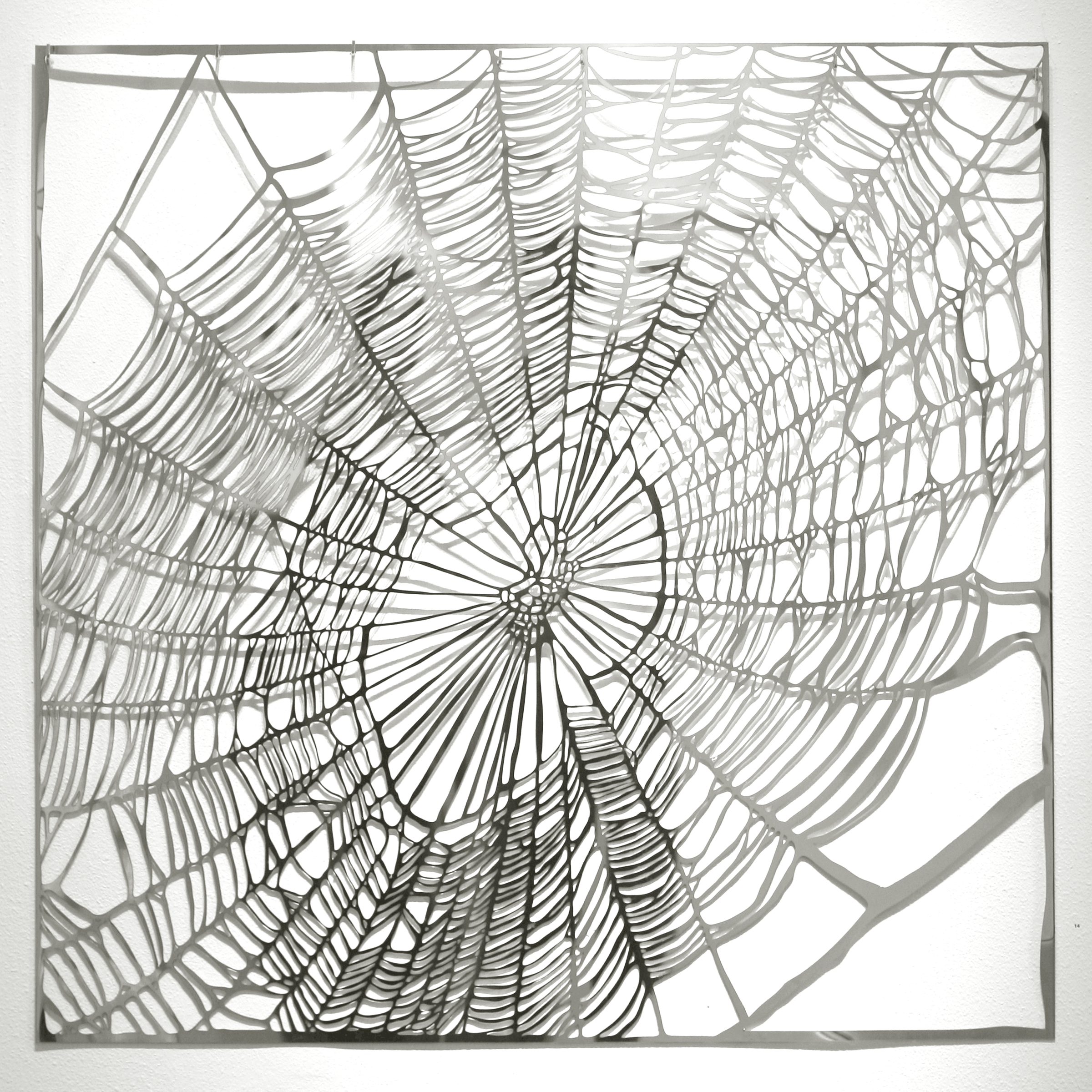 7. Web (stainless).jpg