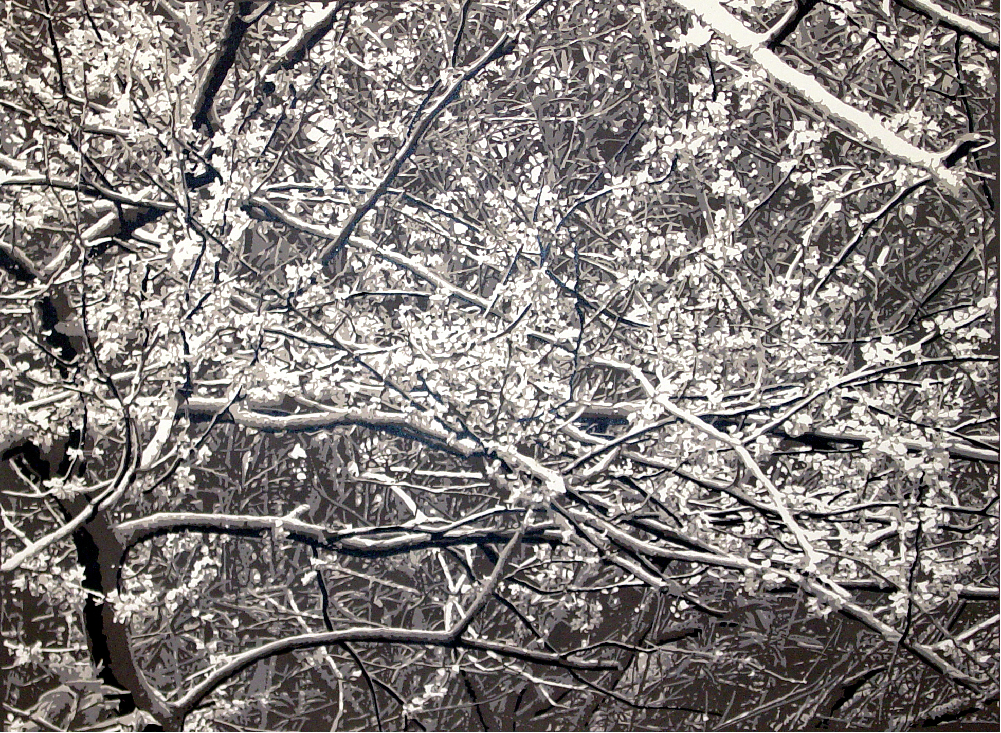 Branches 21 x 29.jpg