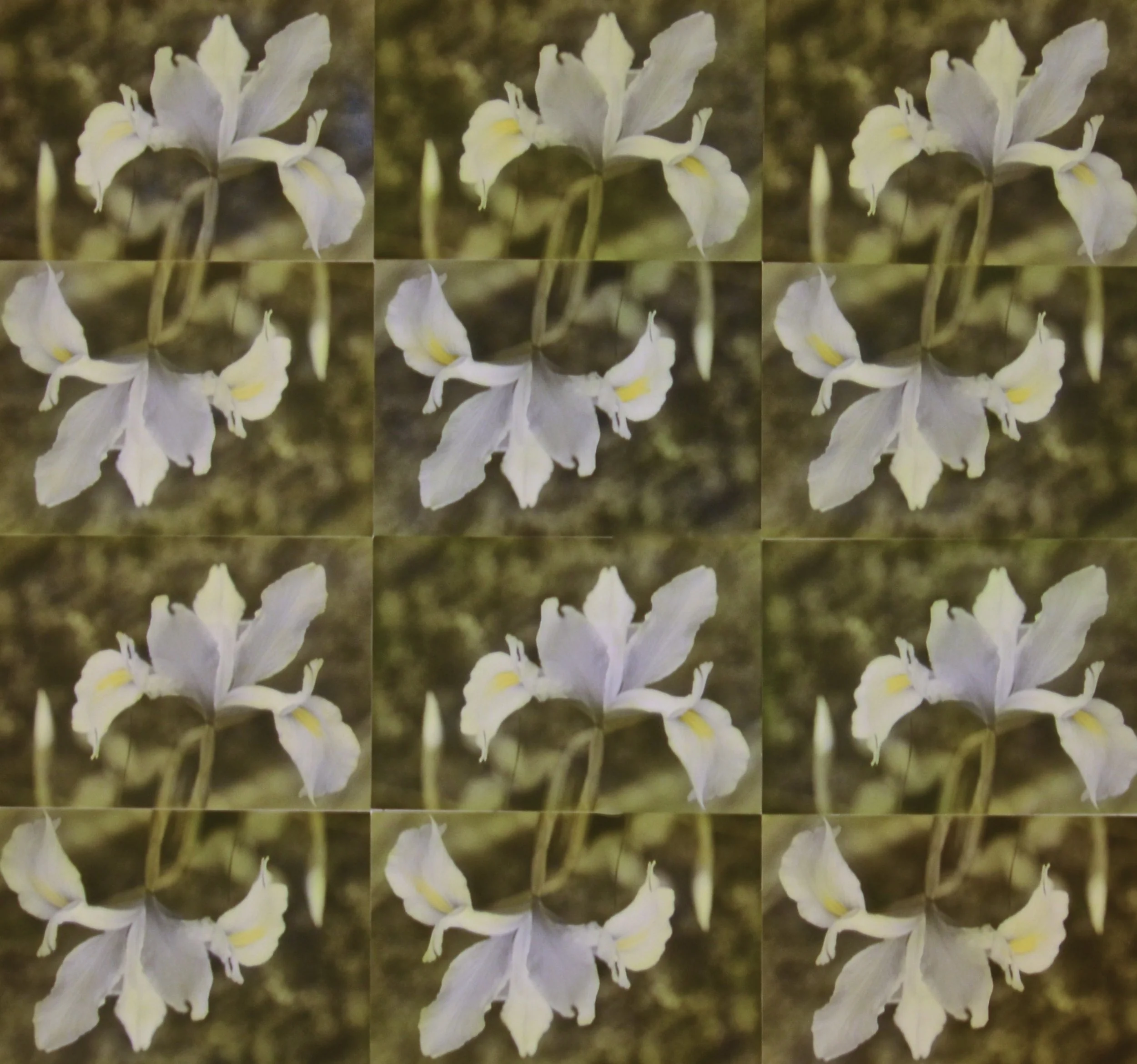 DSC_4289 - Version 2.JPG