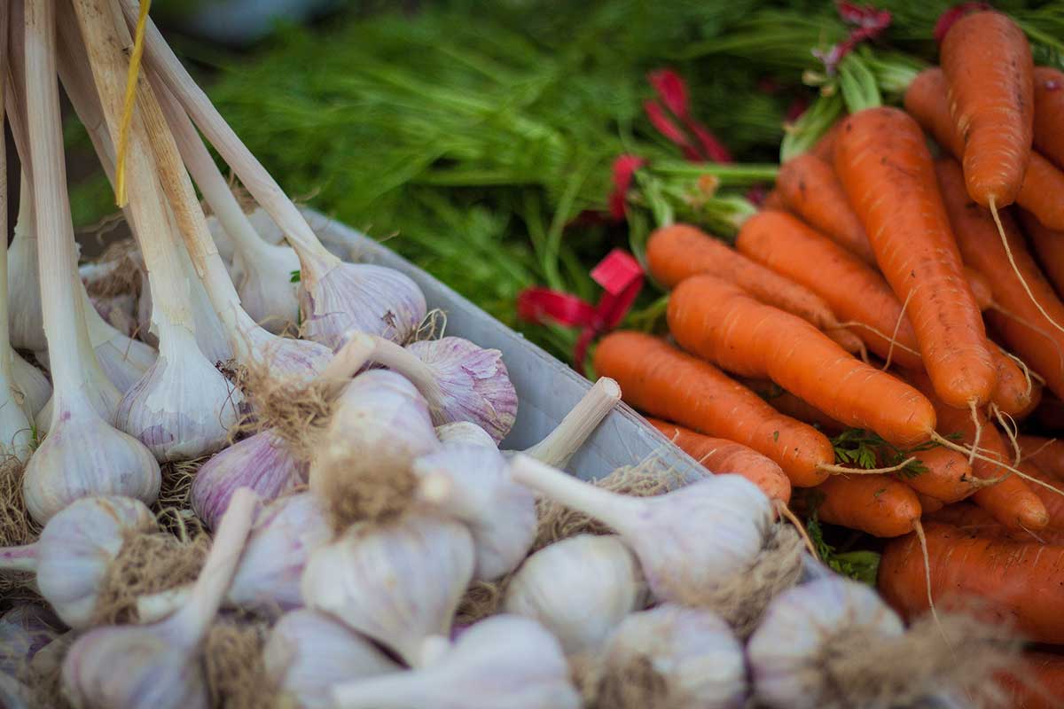 fresh garlic & carrots