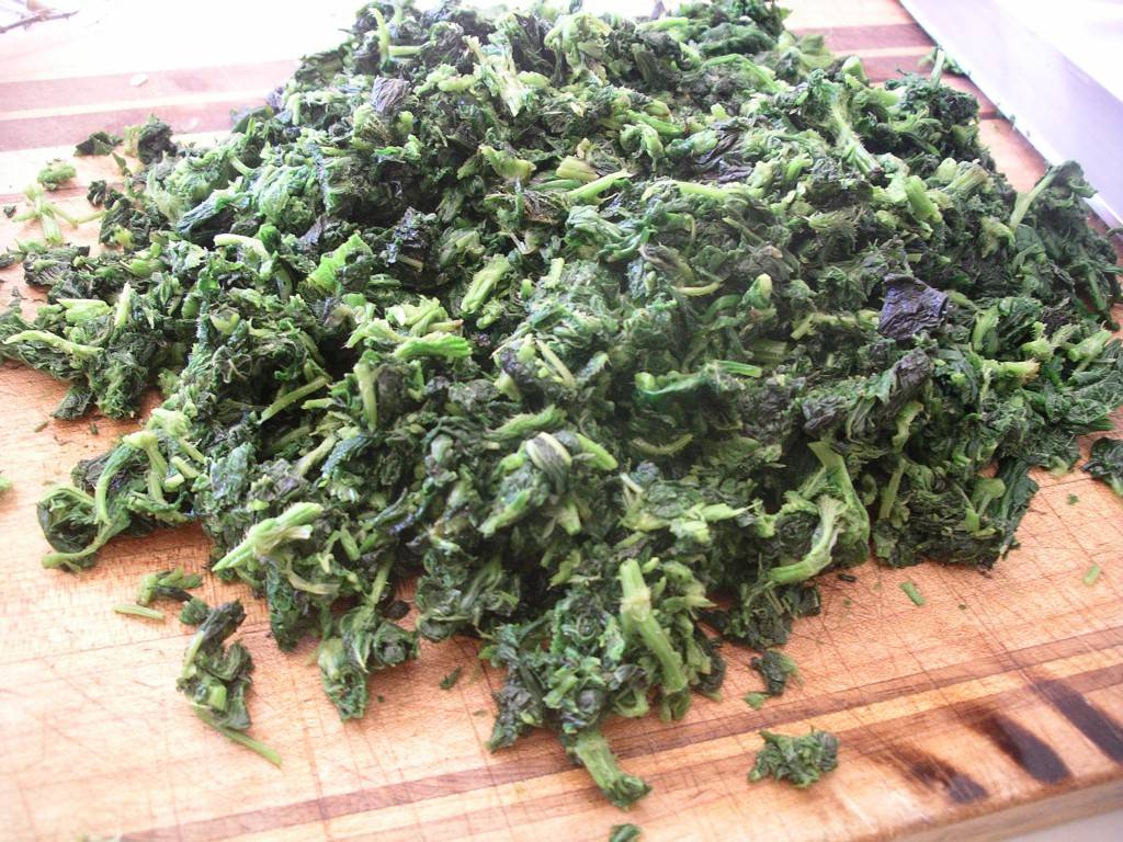 chopped-nettles.jpg