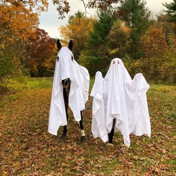 CCEC Western All Breed Show - Halloween Horse Show!