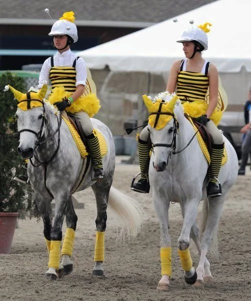 CCEC Hunter/Jumper/Dressage Show - Halloween Horse Show
