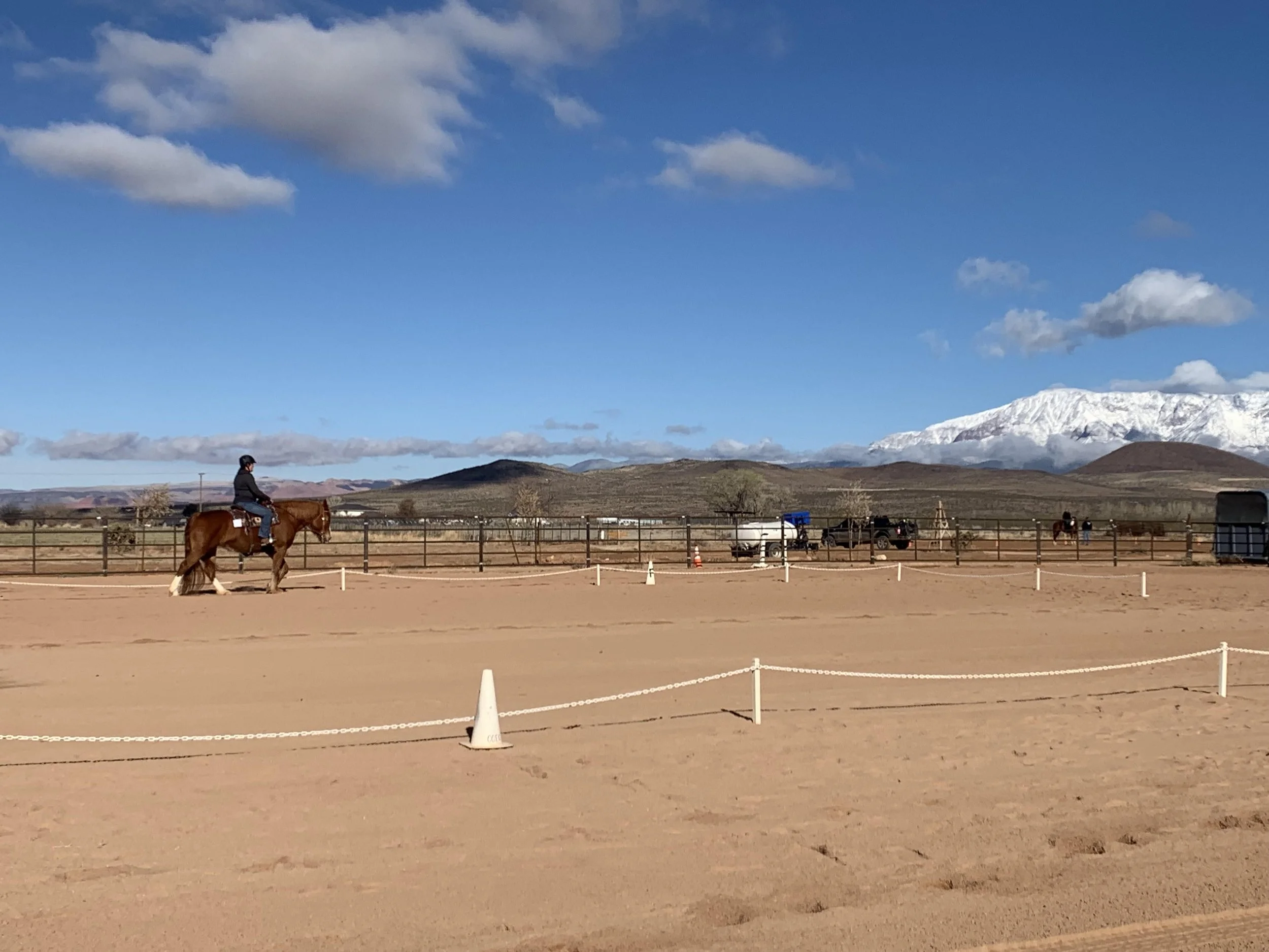 Hunter Jumper Dressage Horse Show