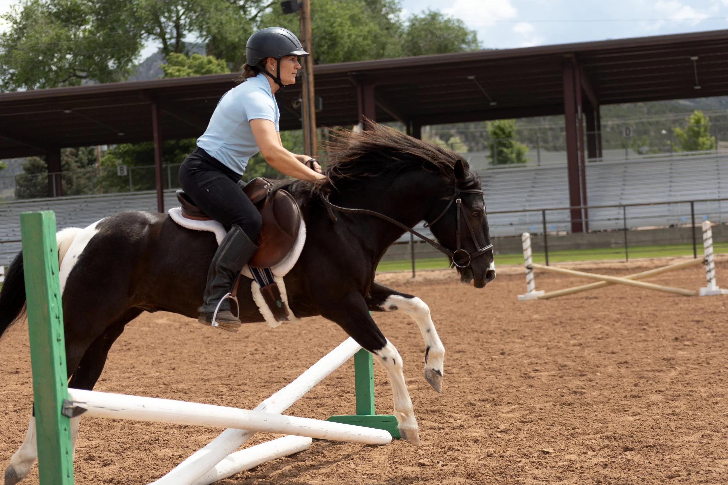 Hunter Jumper Dressage Horse Show