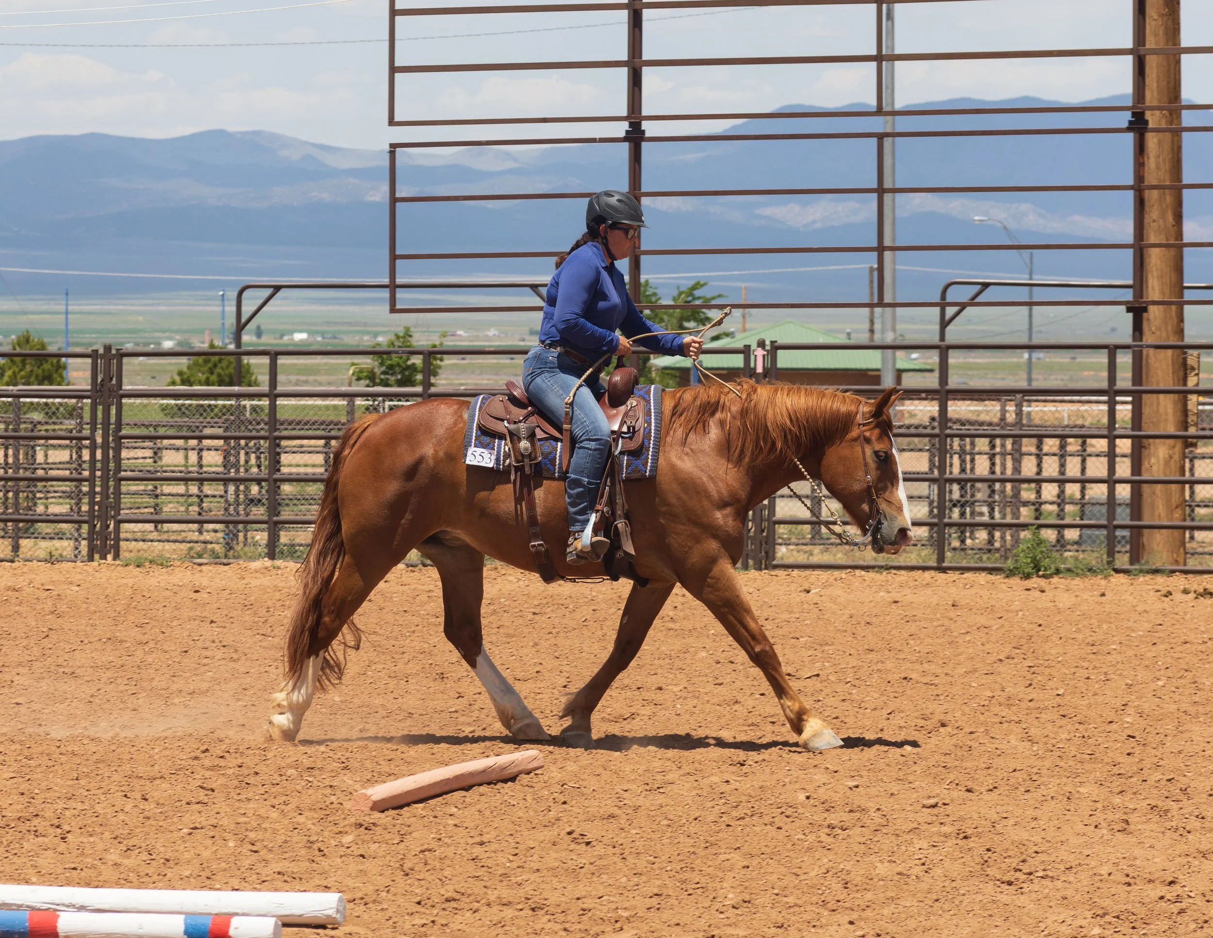 Western All Breed Horse Show