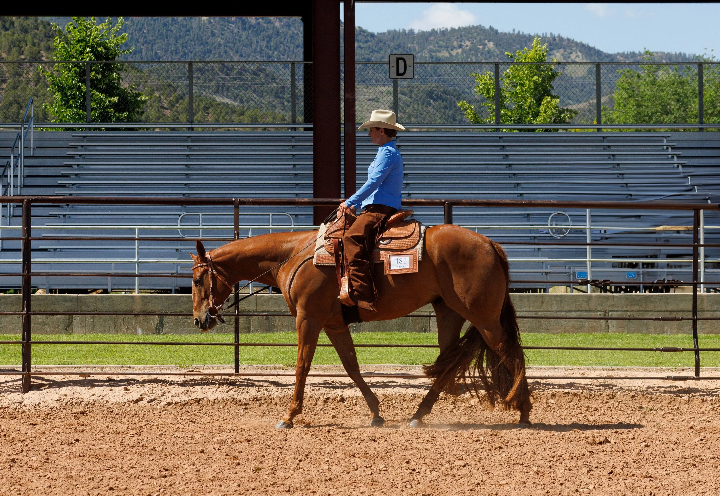 Western All Breed Horse Show