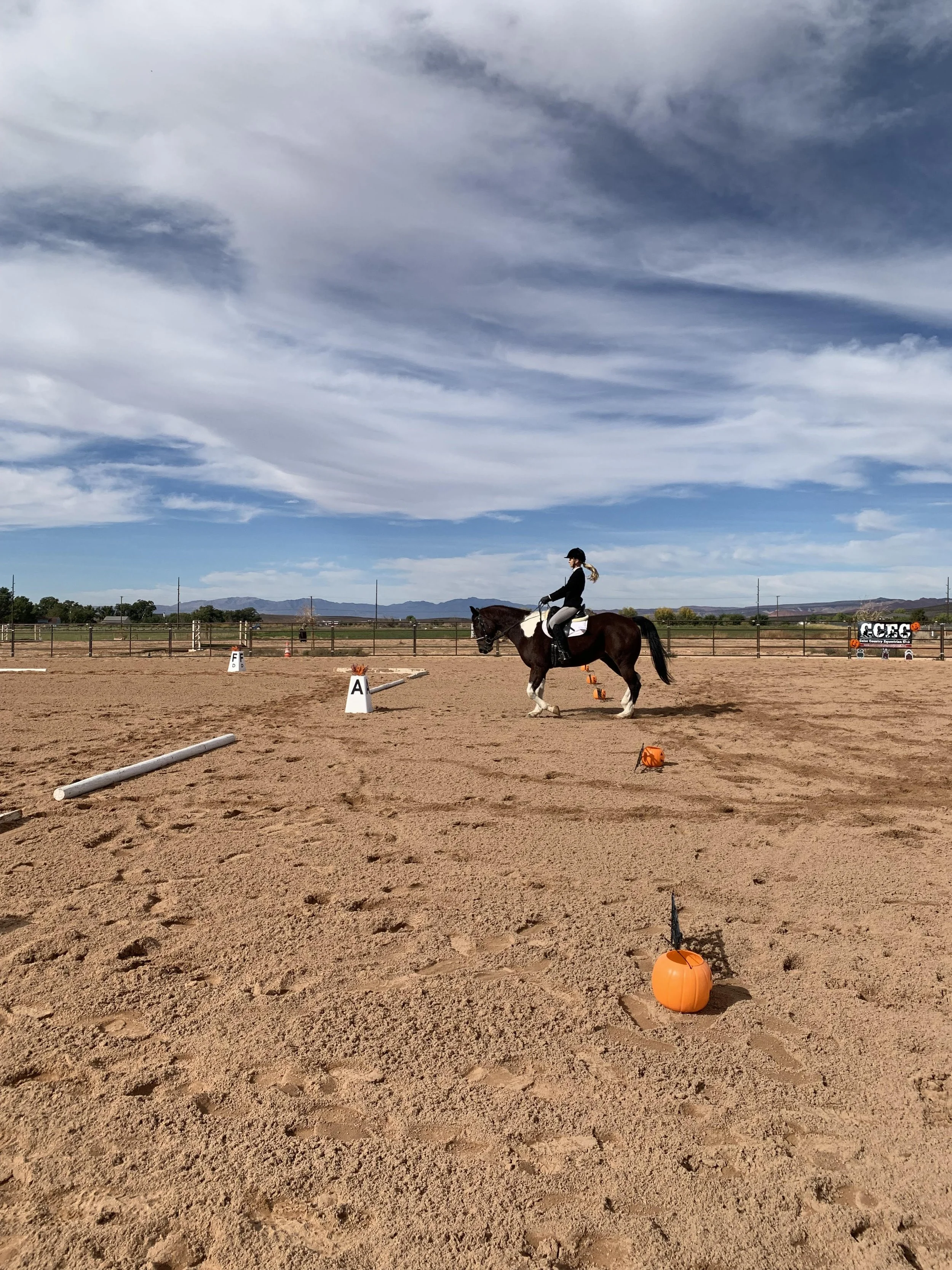 Hunter Jumper Dressage Horse Show