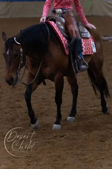Reined Working Cow Horse Show