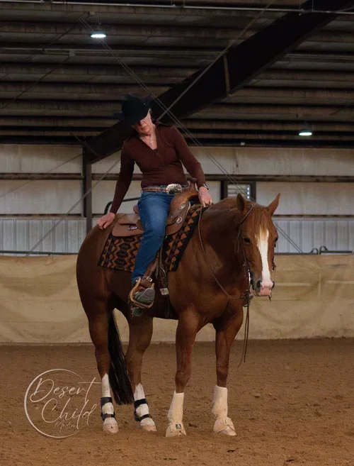 Reined Working Cow Horse Show
