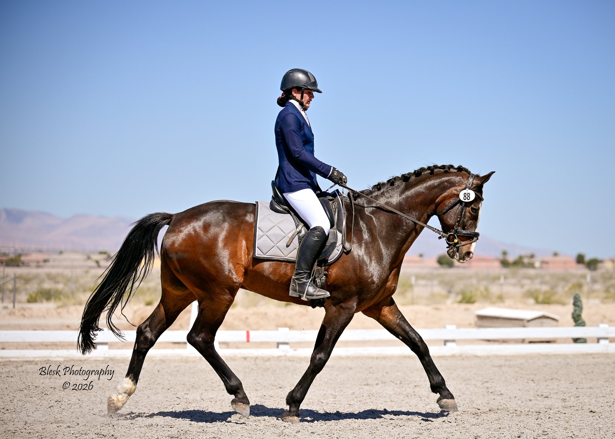 Hunter/Jumper/Dressage Show
