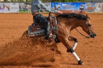 Reined Working Cow Horse Show