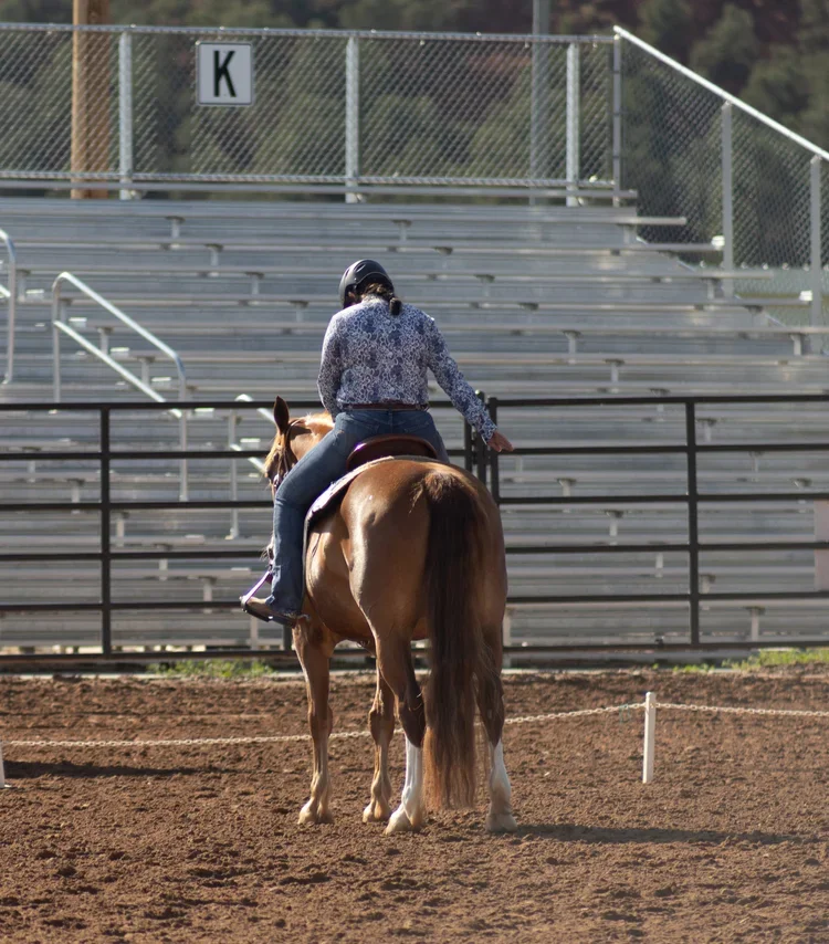 Hunter/Jumper/Dressage Horse Show