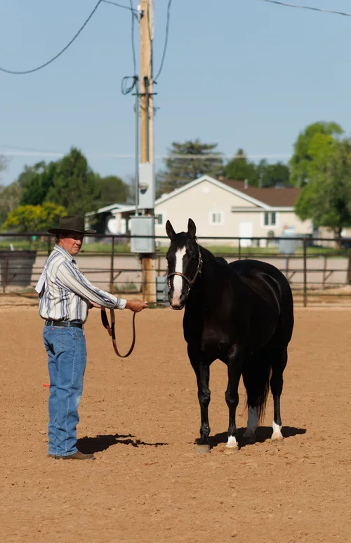 Western All Breed Horse Show