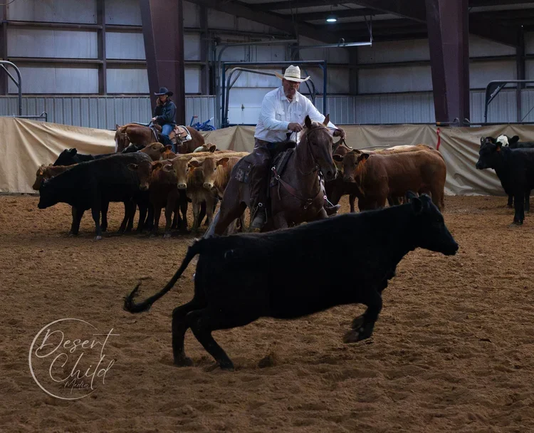 Reined Working Cow Horse Show