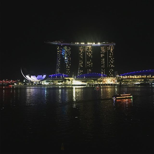 It was roughly 20 kilometres of Singapore walked today // 30 degrees and humid // Through little India, China Town, both sides of the harbour, District 1, plus many gardens and neighbourhoods in between // Then - the stunning Fever Room by Apichatpong Weerasethakul // What a day // #mfainperformingarts #performingarts #masters #mfa #art #singapore #iceland #reykjavikloves