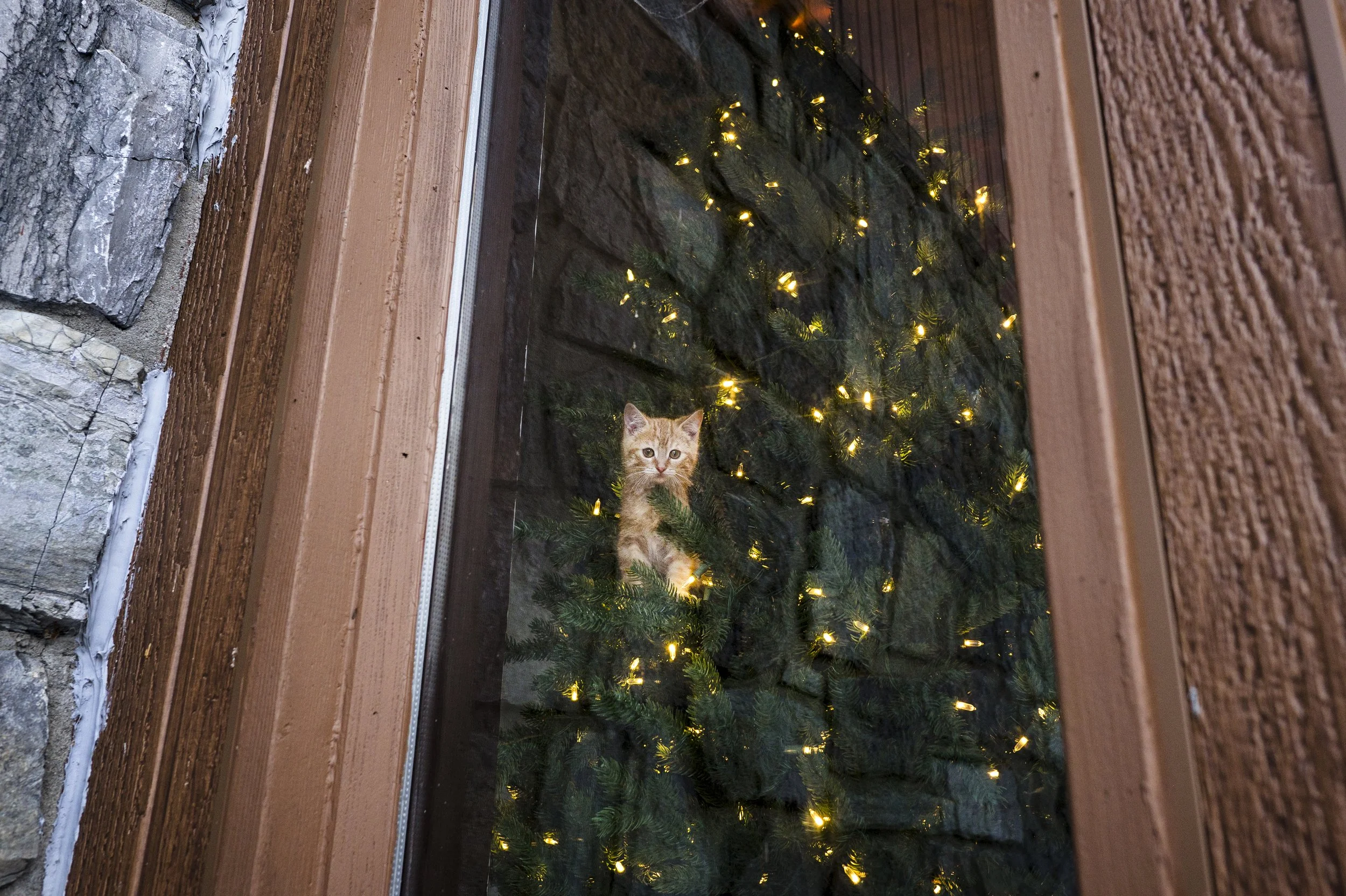 DSC_2687.jpg