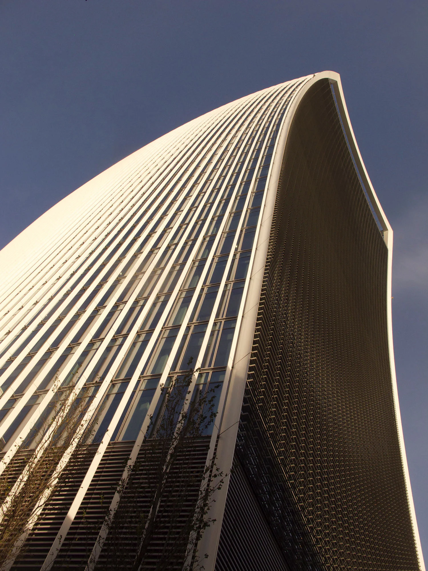 Raphael Vinoly