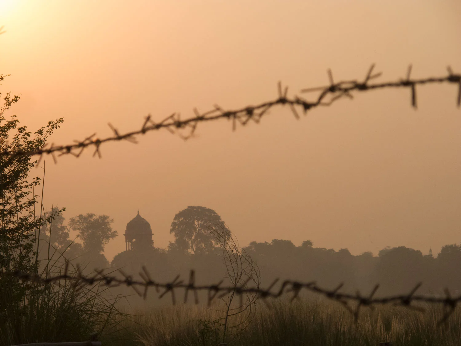 Rear of the Taj Mahal at dawn India 