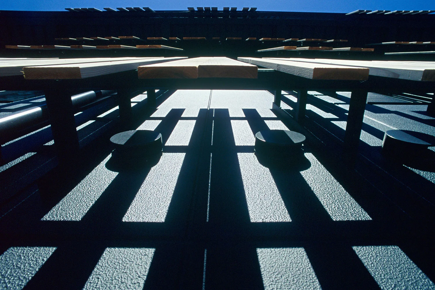 David Adjaye