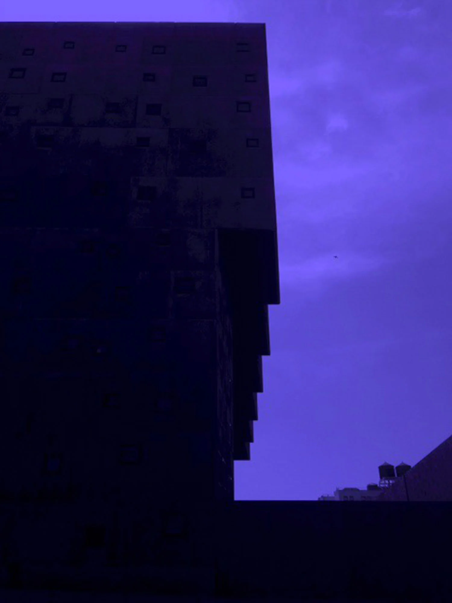 Kengo Kuma