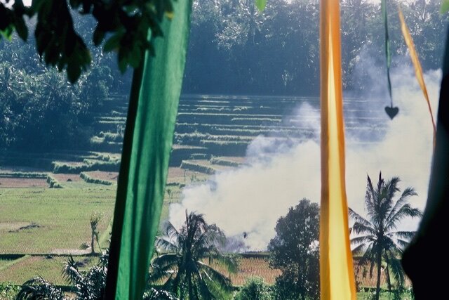 Dreaming in Bali