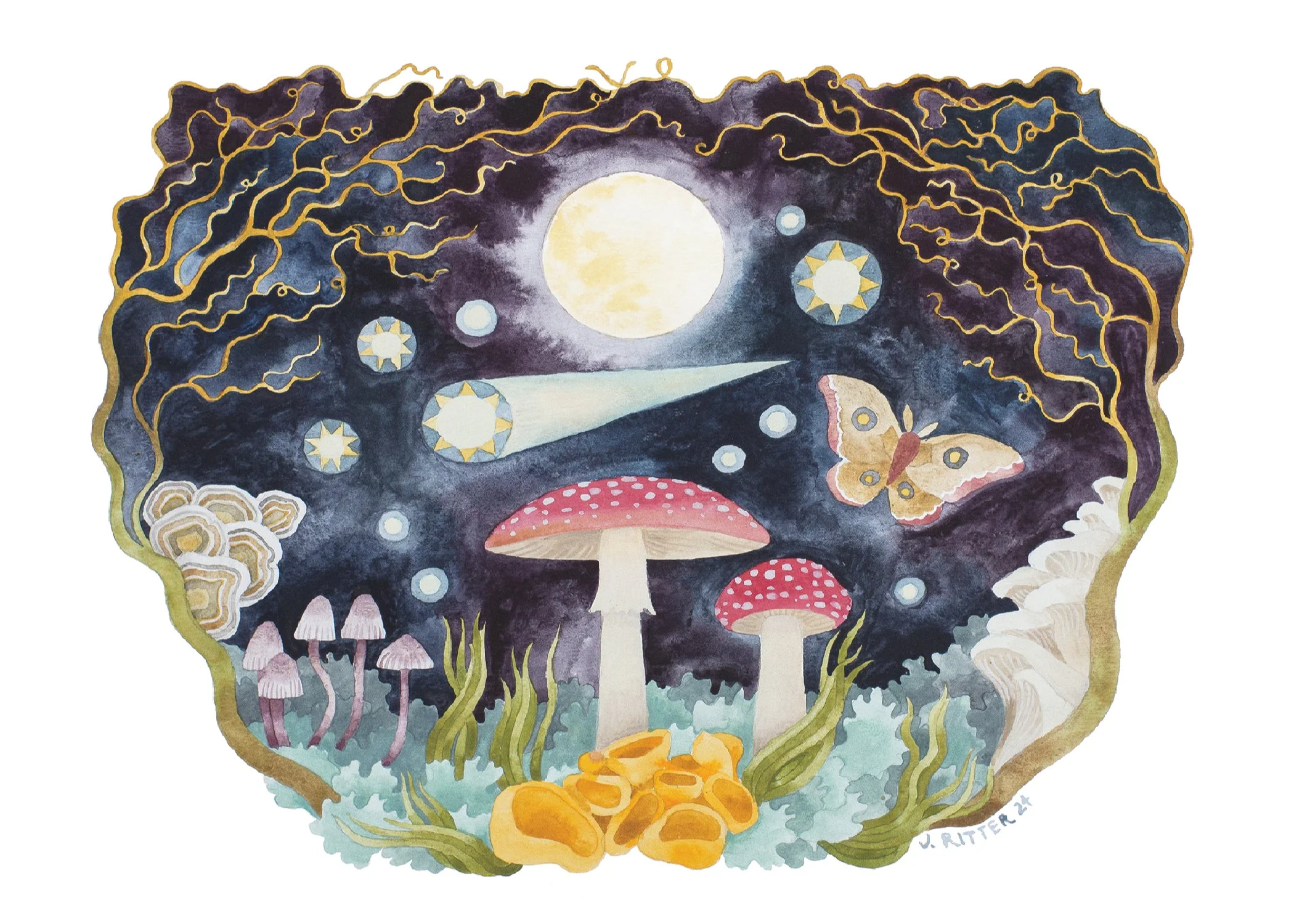 SPRING CARD MUSHROOMS.jpg