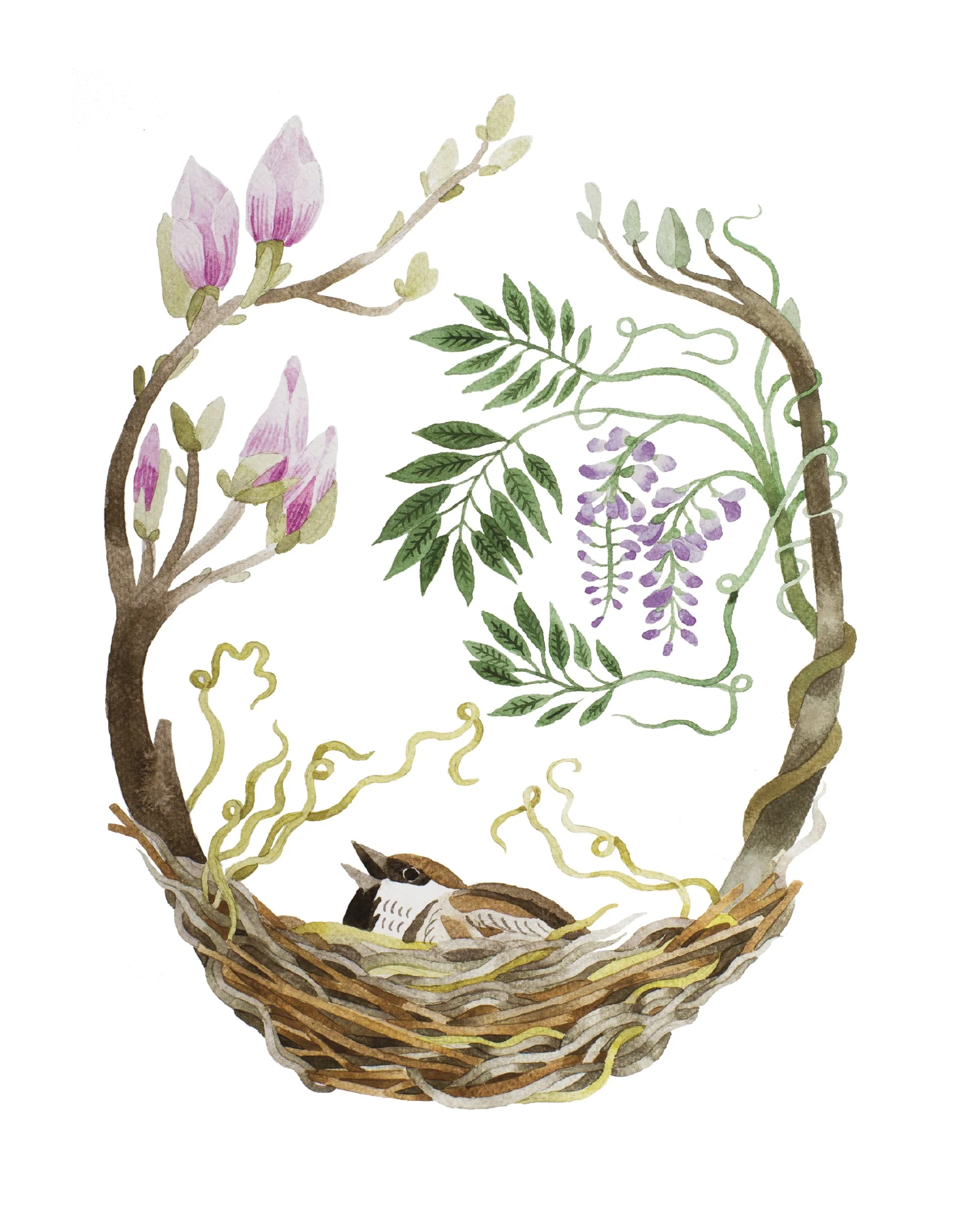 SPRING 3.jpg