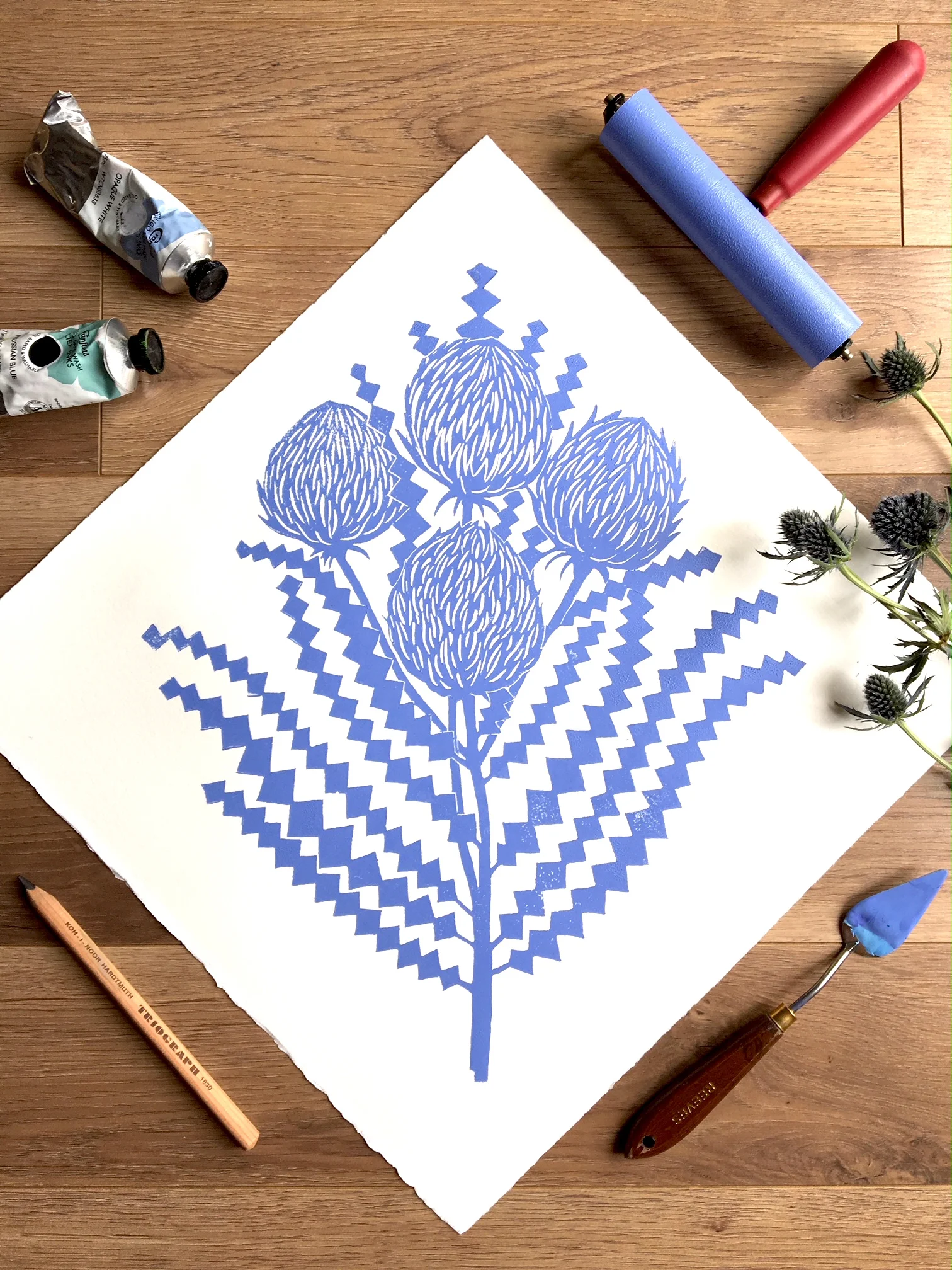 "Banksia Baxteri", 15" x 15", Linocut 