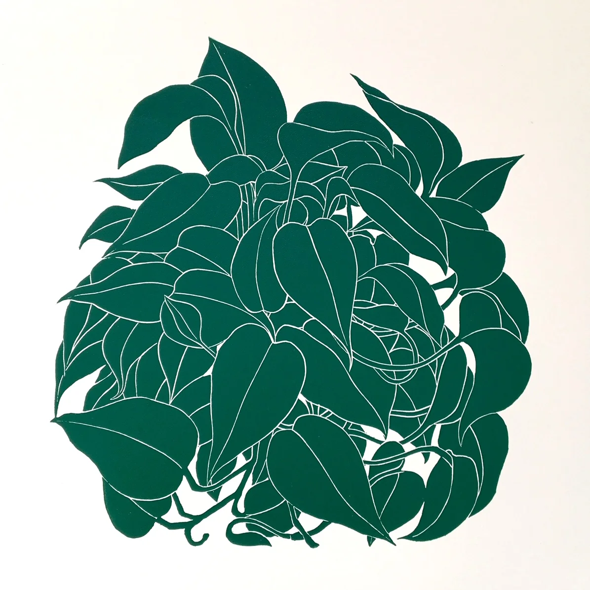 "Epipremnum Aureum", 15" x 15", Linocut 