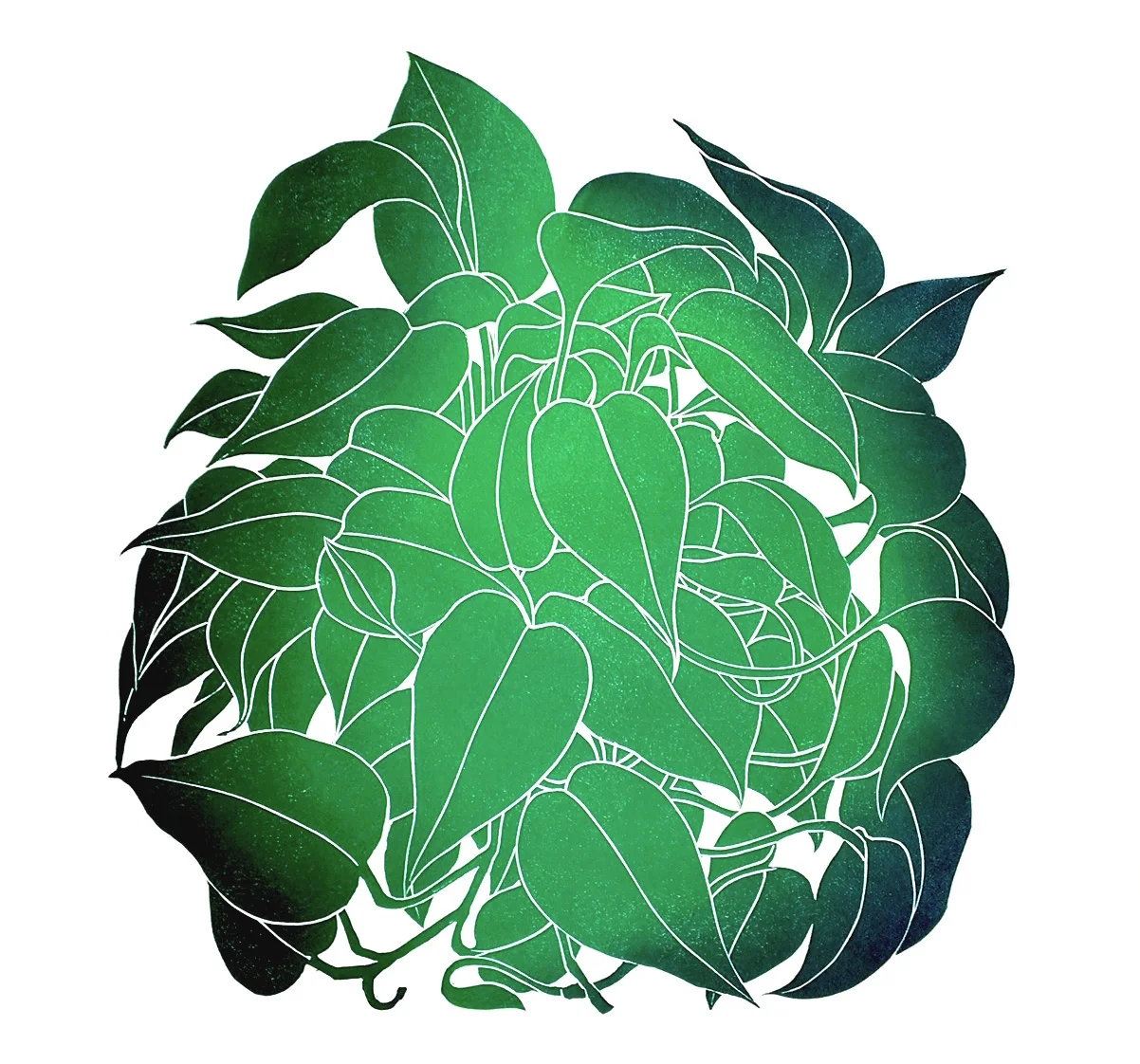 "Epipremnum Aureum", 15" x 15", Linocut