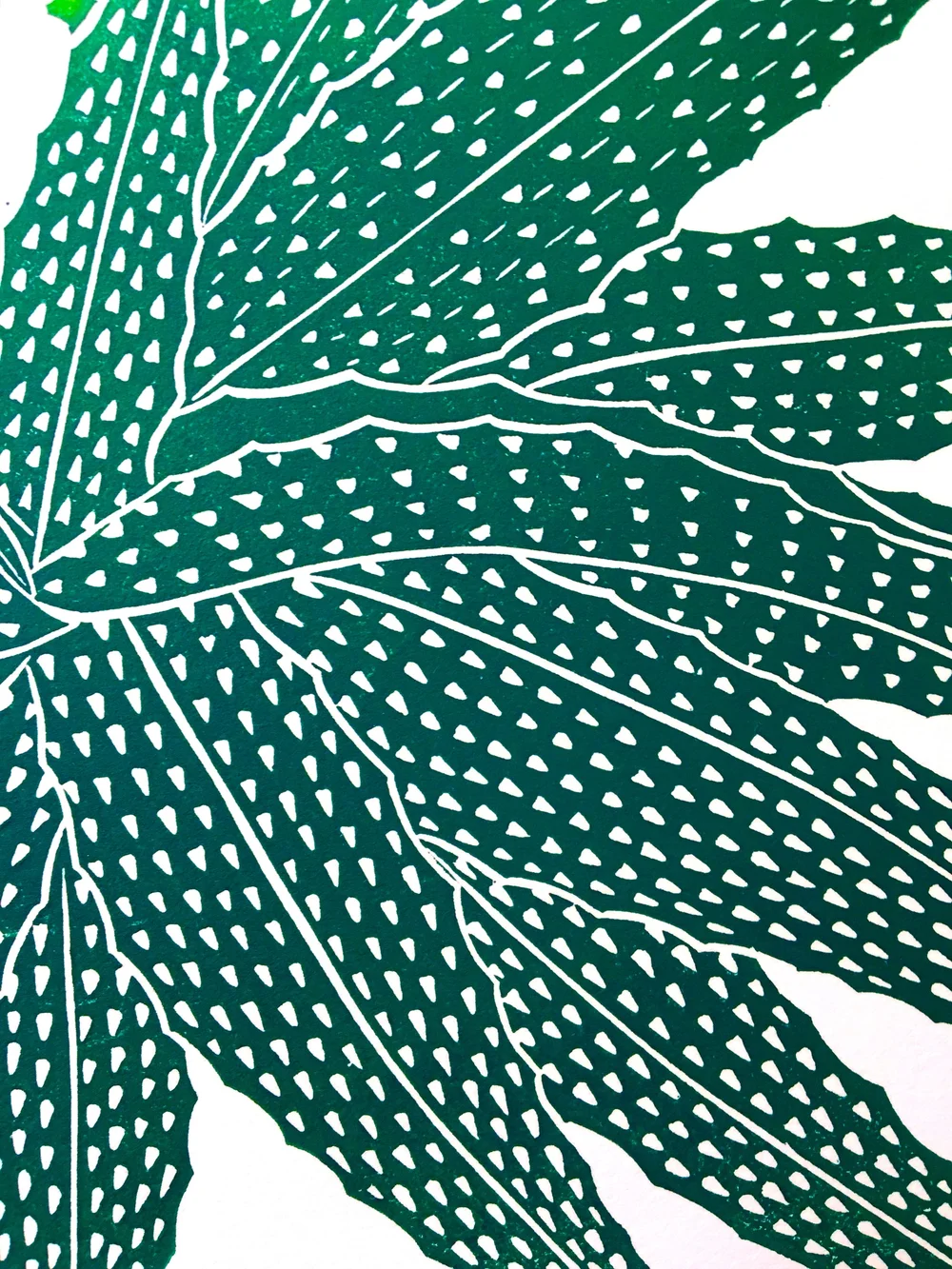 aloe vera and moisturizer O+A|EVERYDAY