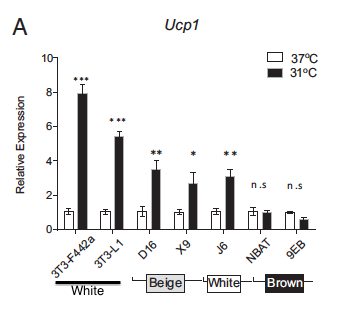 Fig 3a from the paper. It helps to compare white vs beige vs brown. D16, J6 etc are just names of different cell lines.