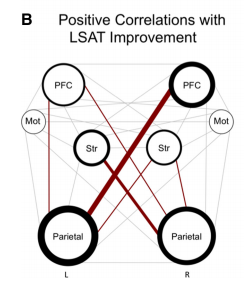 Thicker lines means more increase in connection. L: left-brain, R: right-brain. PFC: Prefrontal cortex, Str: striatum, Parietal: well, you know.