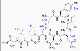 Oxytocin's functions are as complicated as its structure. Source: wiki