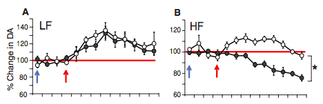 A: low-fat fed mice; B: high-fat fed mice. In high-fat fed mice, administering OEA before fat infusion restores dopamine bump. (From Fig 1)