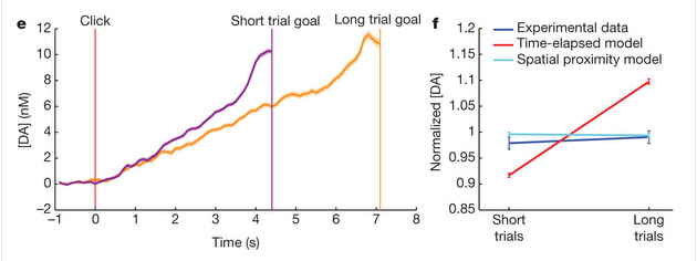 Left: Peak dopamine levels are the same regardless of trial length. Right: But it did correlate with how close the rats were to the goal. Source: Fig 2