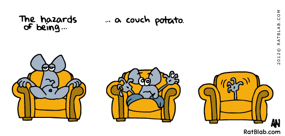 Sitting on a couch is really not that stressful. Don't make me run!