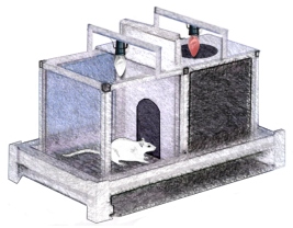 Source: http://www.pbtli.com/