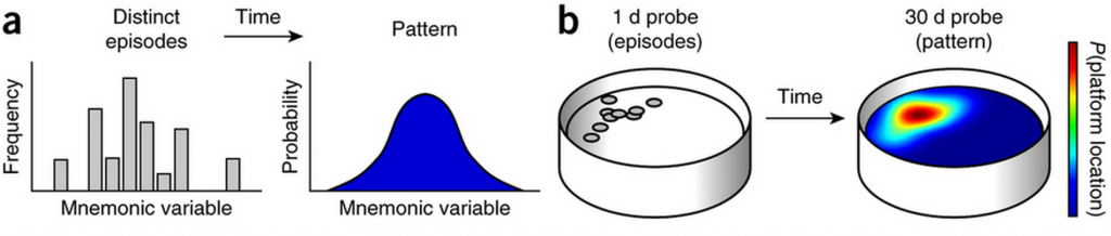 Figure 1. Distinct experiences morph into a statistical model. The warmer the colour, the higher the probability of the platform appearing.