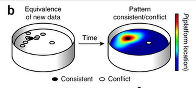 Figure 3. The newly introduced platform is either consistent (black) or conflicting (white) with the original pattern.