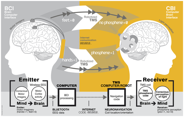 Figure 1 of the paper.