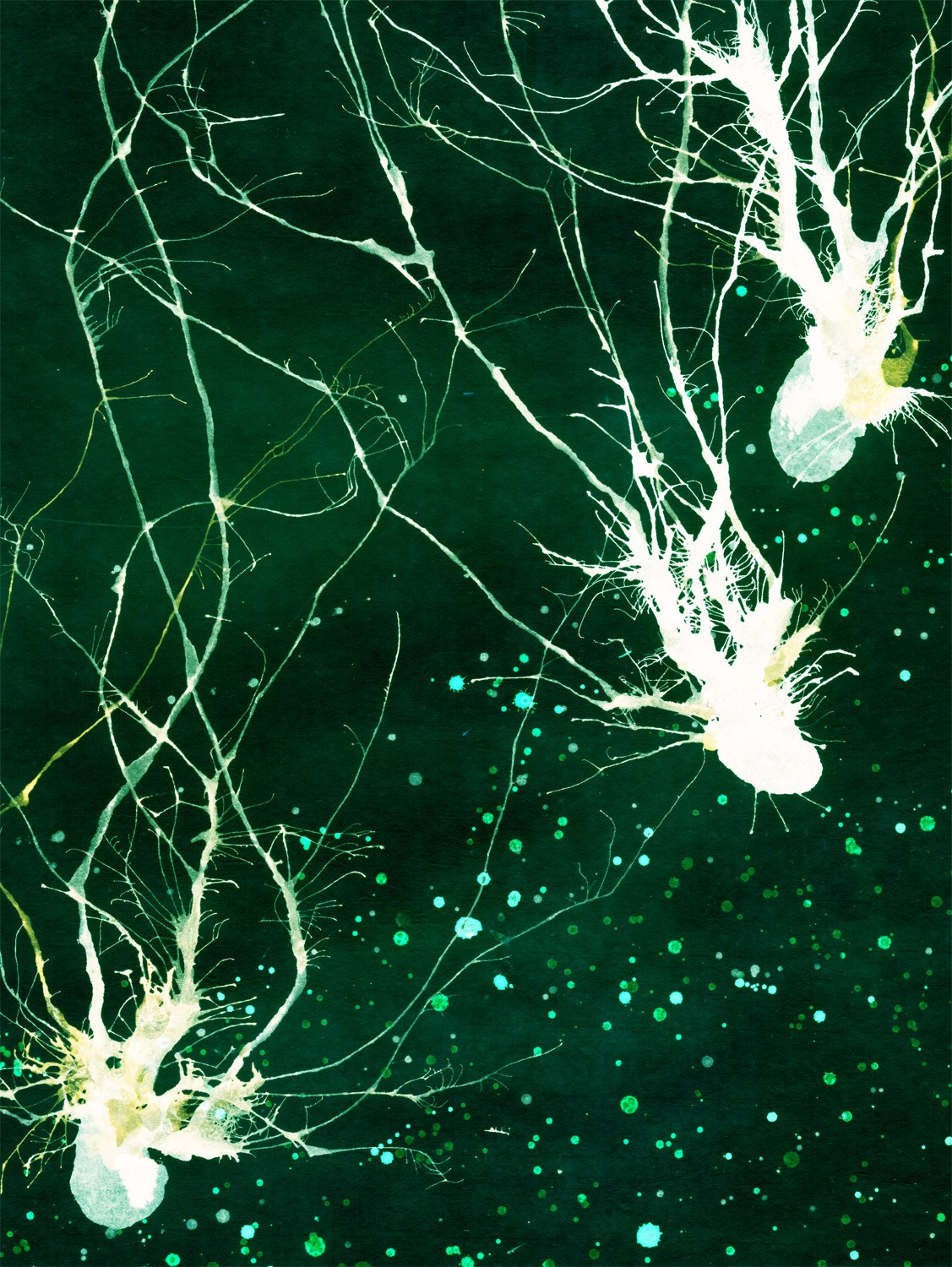 Image credits to Greg Dunn, PhD. Find more of his work here .
