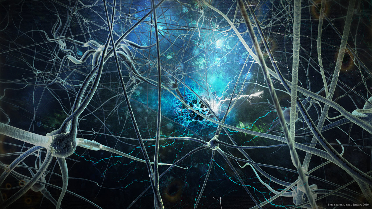 When an axon of cell A is near enough to excite a cell B and repeatedly or persistently takes part in firing it, some growth process or metabolic change takes place in one or both cells such that A's efficiency, as one of the cells firing B, is increased. – Donald Hebb (Canadian!), Organization of Behaviour , 1949. Image credit: theratchet.c