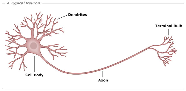 Source: https://online.science.psu.edu