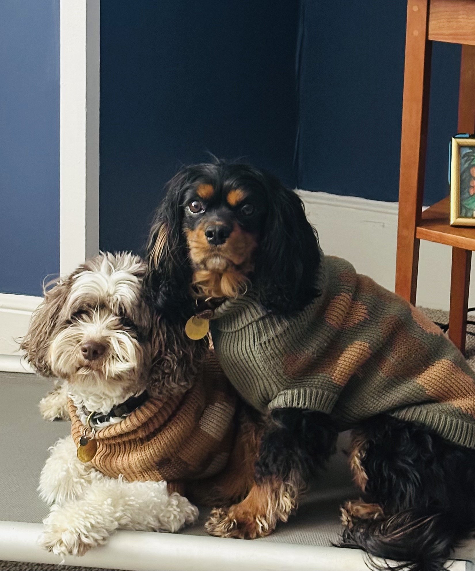 FullSizeRender (4).jpeg