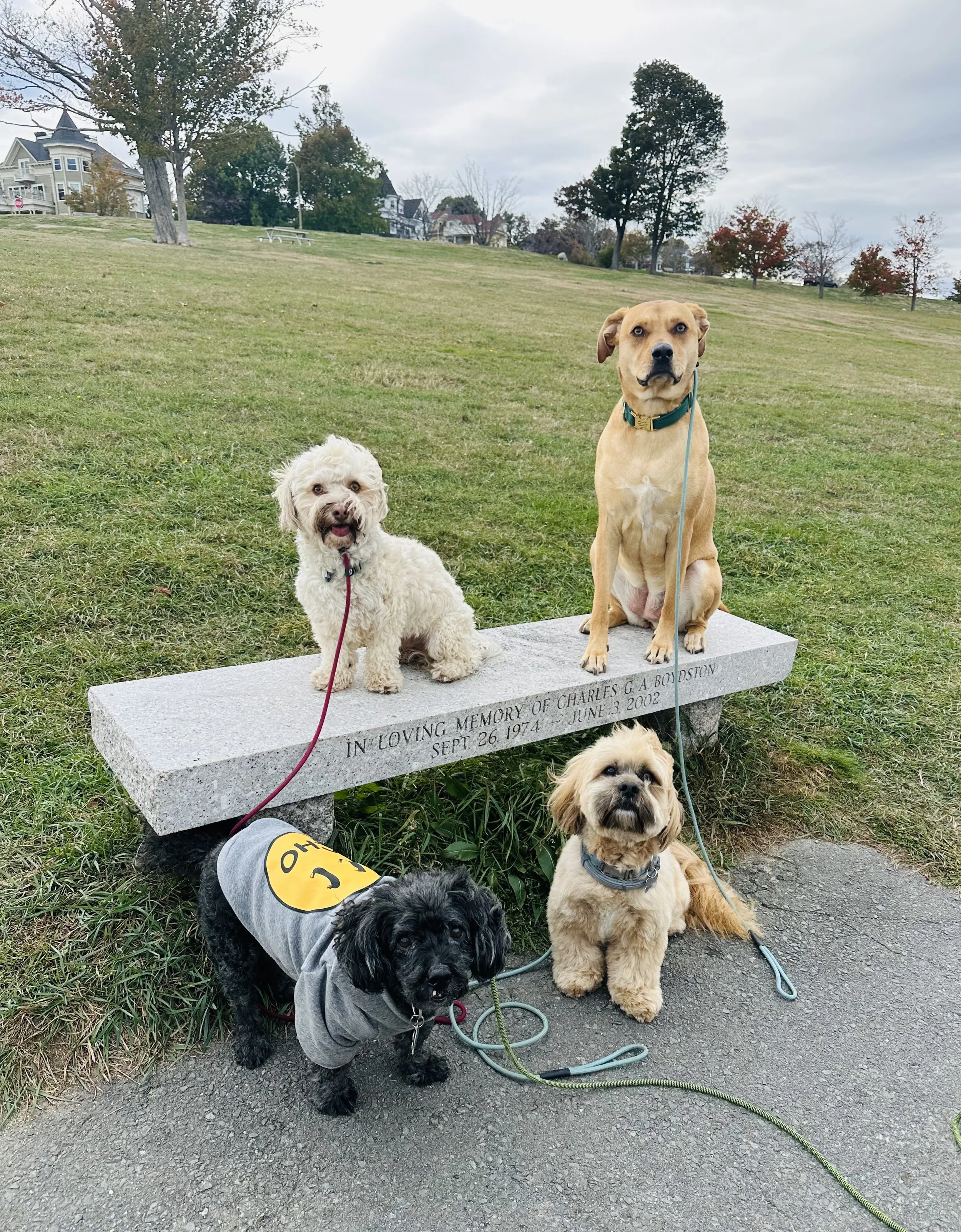 FullSizeRender (5).jpeg